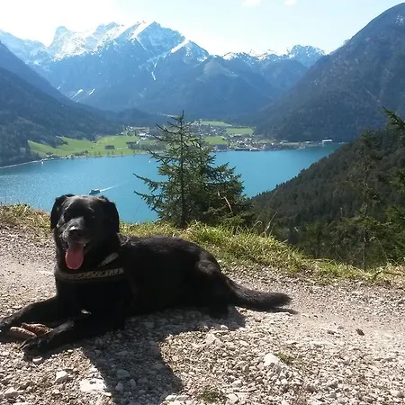 Appartementhaus Lengsdorf Daire Maurach (Achensee)